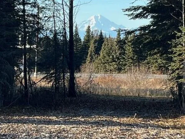 71325 & 71355 Sterling Hwy, Clam Gulch, AK 99568
