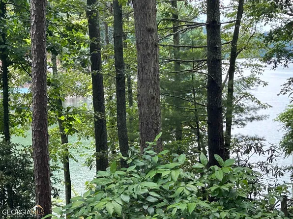 L12 Canal Lake Ext, Blairsville, GA 30512