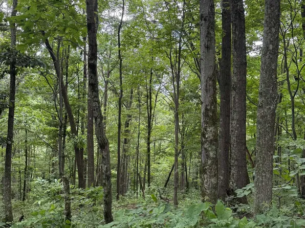 21 21.1 Pyles Fork Frk, Mannington, WV 26582