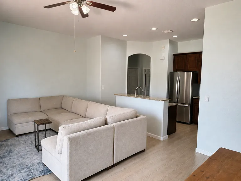 Living room and kitchen
