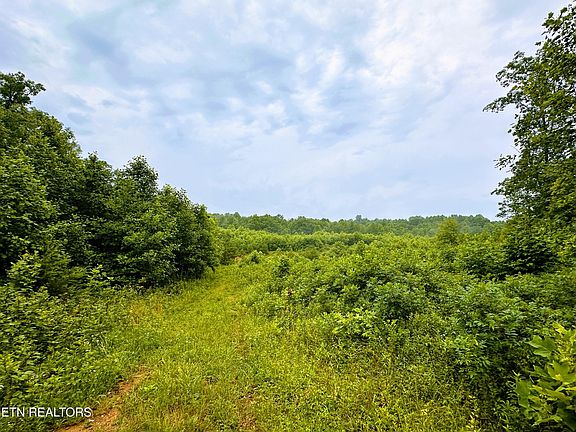 4th image of 13.44 Chestnut Ridge Rd