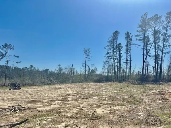 198 Pebble Ln, Pearson, GA 31642