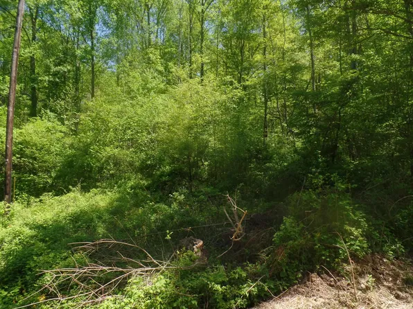 10130 E Dobson Rd, Bloomfield, IN 47424