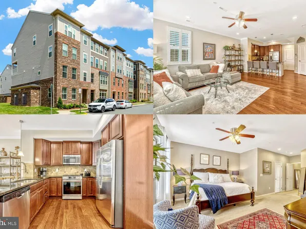 25315 Gray Poplar Ter, Aldie, VA 20105