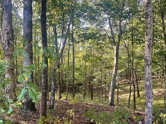 128th image of 450 County Road 28