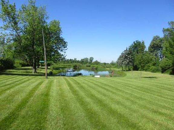 So much yard to enjoy :)