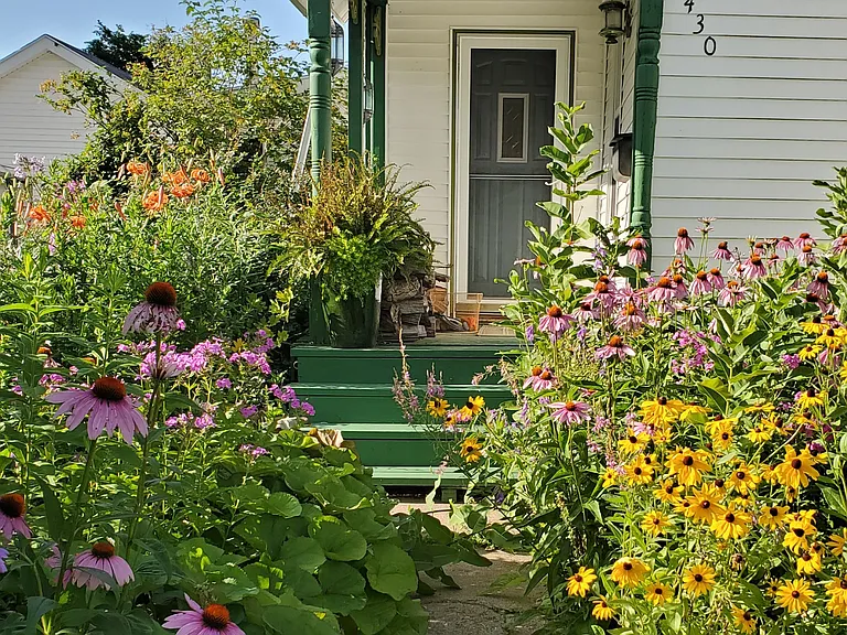 Flowers welcome you in summer