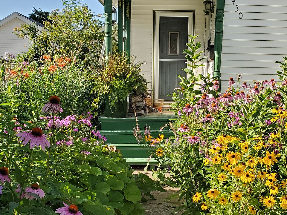 Flowers welcome you in summer