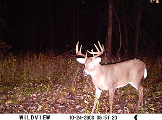 County Rd #2030, Clifton Hill, MO 65244