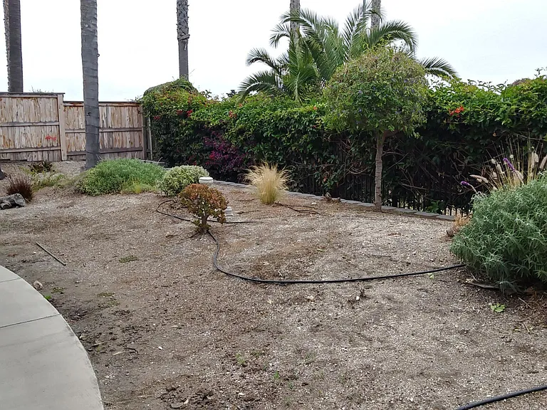 1602 Costa Del Sol — Photo 24