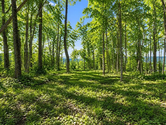 2nd image of 1309 Wind Rush Way Lot 15