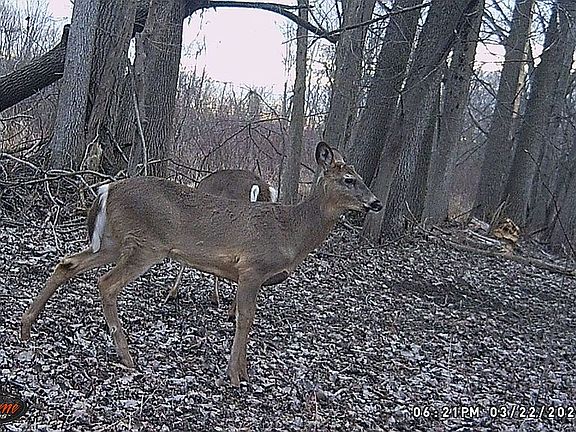 5th image of 2662 County Road 3