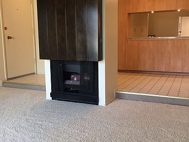 Fireplace in family room