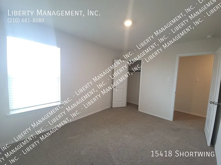 15418 Shortwing — Photo 19