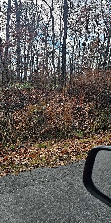 2nd image of Cannock Ln #34