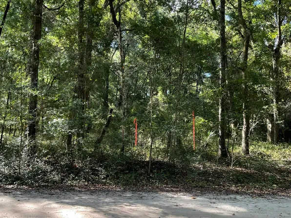 2437 Rockland Ave, Wadmalaw Island, SC 29487