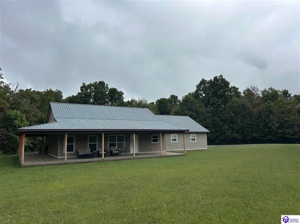 3373 Long Hollow Rd, Rineyville, KY 40162