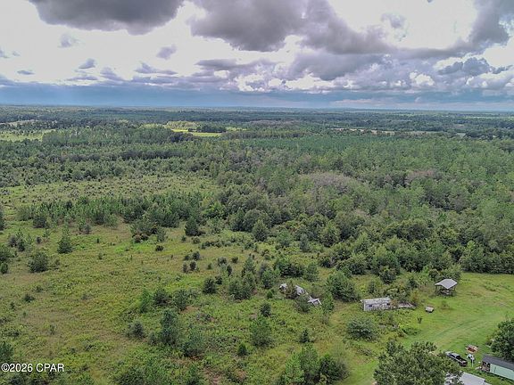 3rd image of Peanut Rd