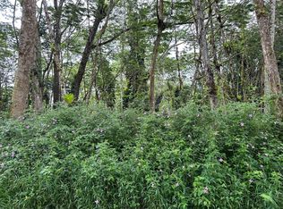Niihau Rd LOT 707, Pahoa, HI 96778
