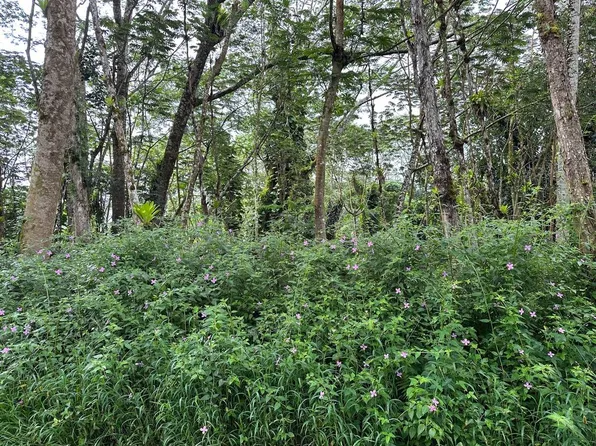 Niihau Rd Lot 707, Pahoa, HI 96778