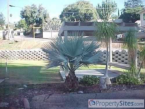 2nd image of 12207 Winter Gardens Dr