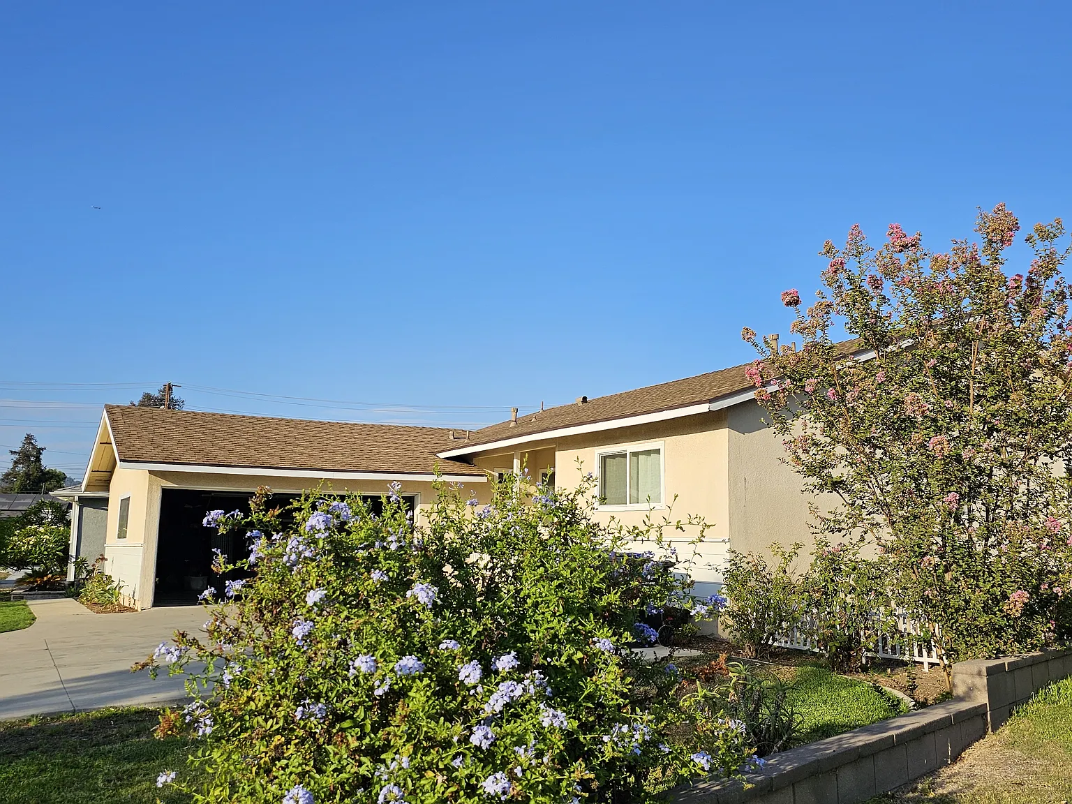 3 bed, 1364 sqft, $3,800 — Photo 3
