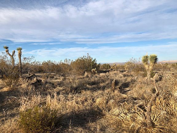 2nd image of Ave W4 Drt Vic 96th
