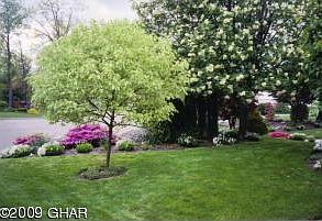 Landscaping