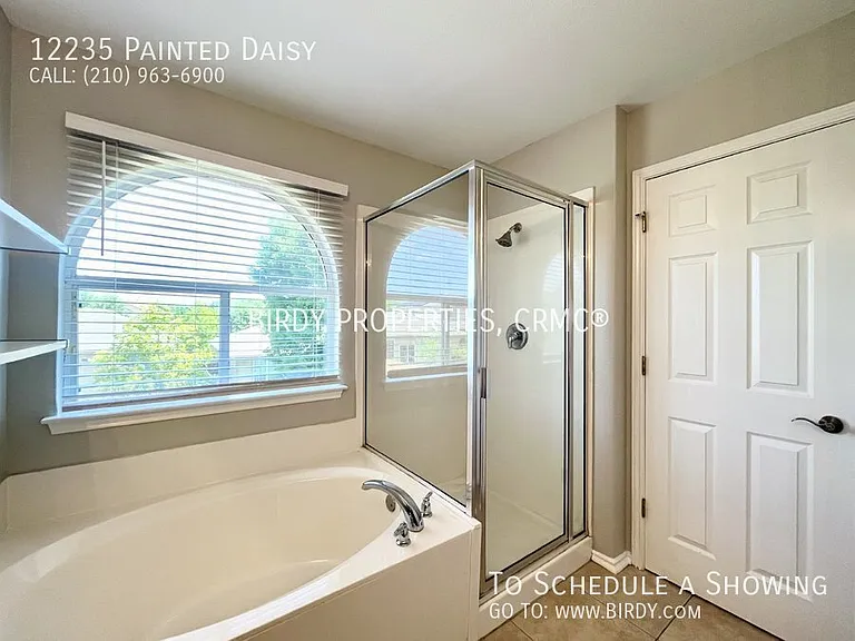 12235 Painted Daisy — Photo 26