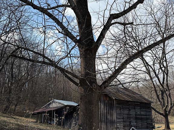 17th image of this home