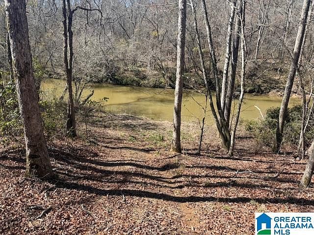 2nd image of Pate Rd Lot 8