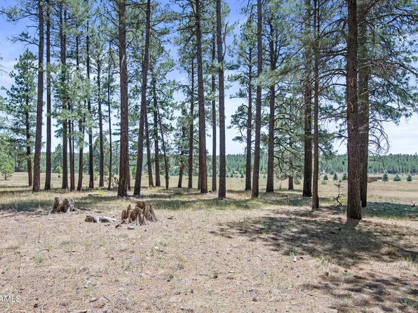259 E Foxboro Rd #7, Munds Park, AZ 86017