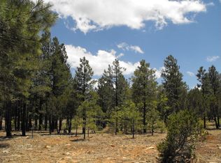 3204 Starlight Dr, Happy Jack, AZ 86024