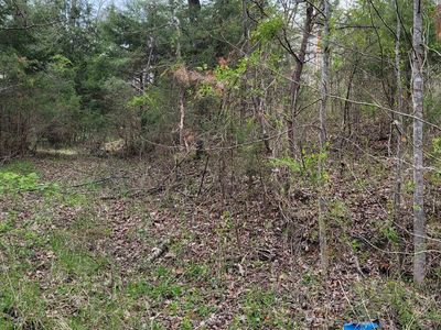 0 Duck Puddle Rd, Greenup, KY, 41144