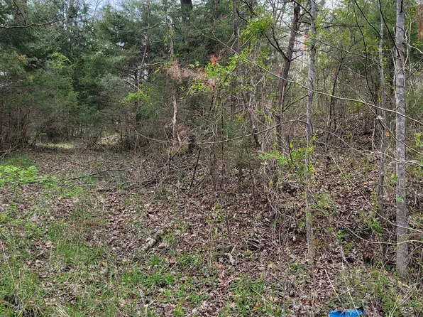 0 Duck Puddle Rd, Greenup, KY 41144