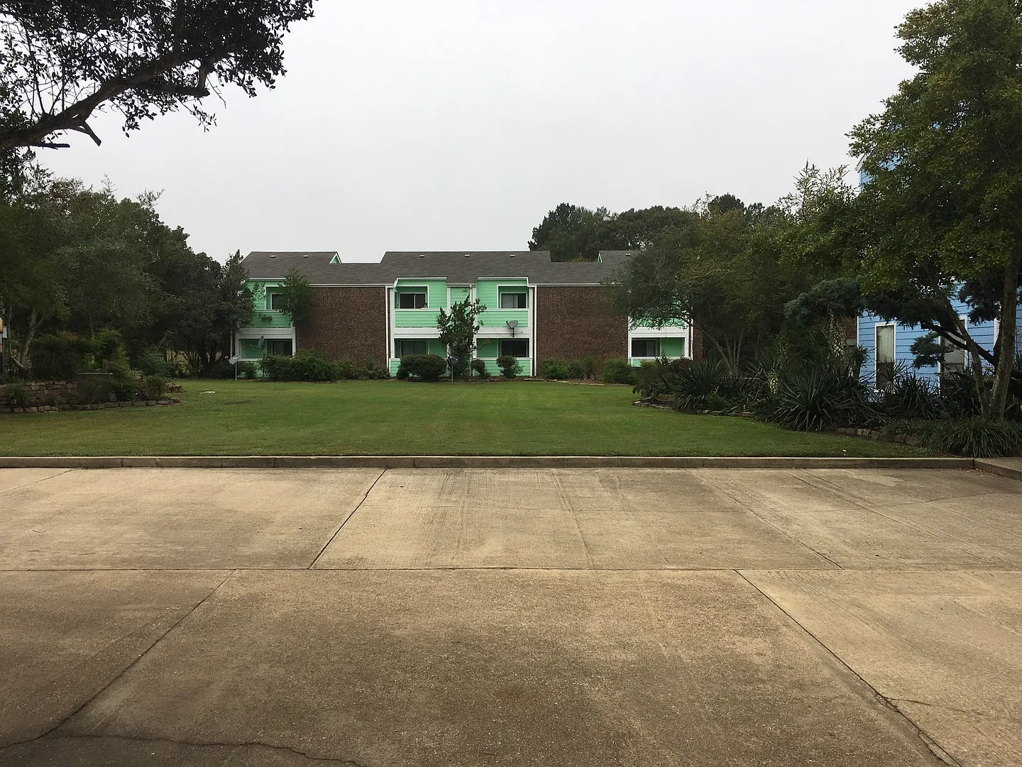 Meadow Green — Photo 1