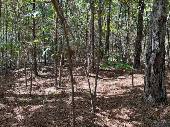 0 Haynes Rd, Marshall, TX 75672