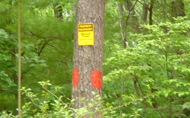 1st image of Mulberry Ln