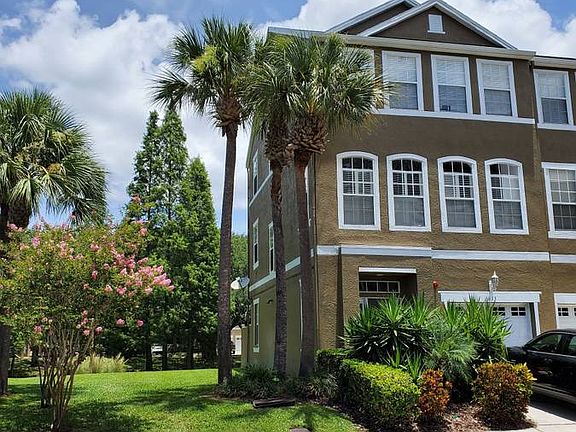 Palm Trees Galore, Tropical Foliage, and nice side yard for children to play