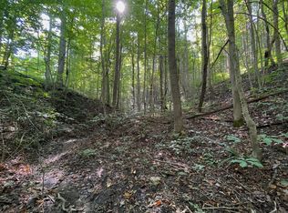 Mount Olive Rd, Mc Arthur, OH 45651