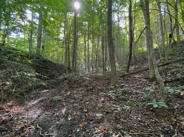 Mount Olive Rd, Mc Arthur, OH 45651