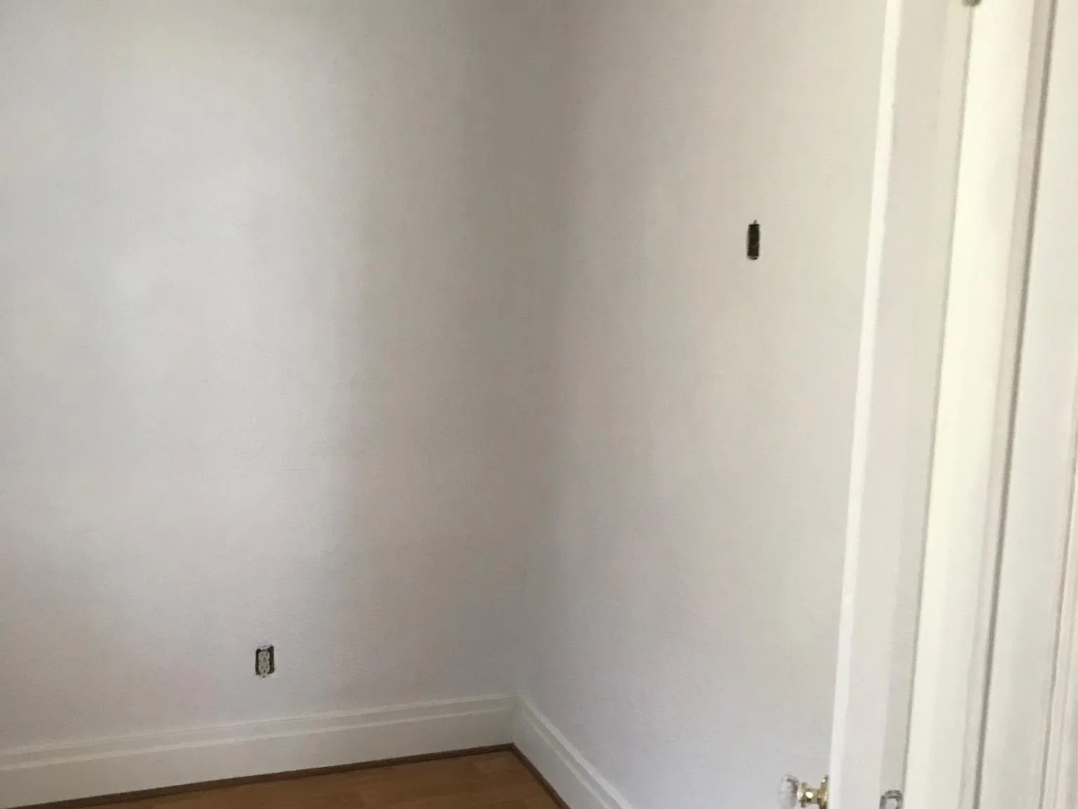 1 bed, 800 sqft, $1,200 — Photo 3
