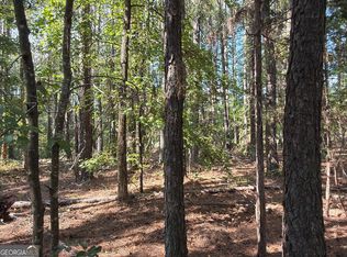 107 Popham Rd, Taylorsville, GA 30178