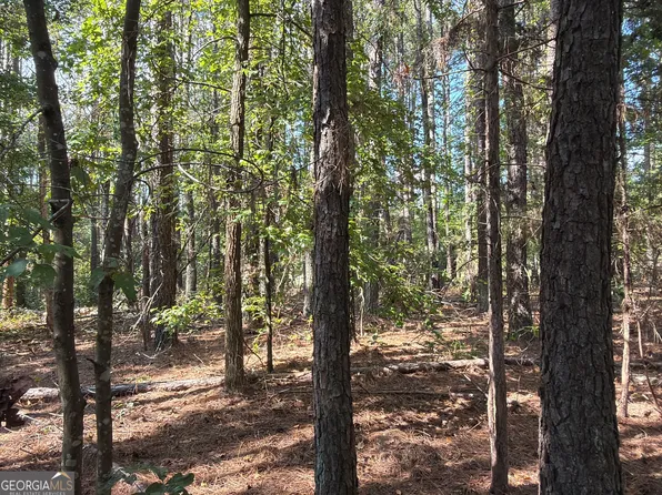 107 Popham Rd, Taylorsville, GA 30178