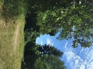 48 Eller Cove Rd, Weaverville, NC 28787