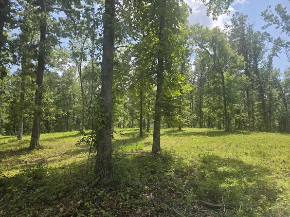 655 Dyer Rd Lot 5, Hurricane Mills, TN 37078