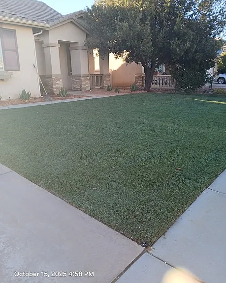 39059 Bottlebrush St — Photo 1
