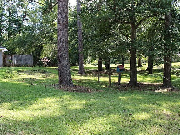 Back yard view from driveway
