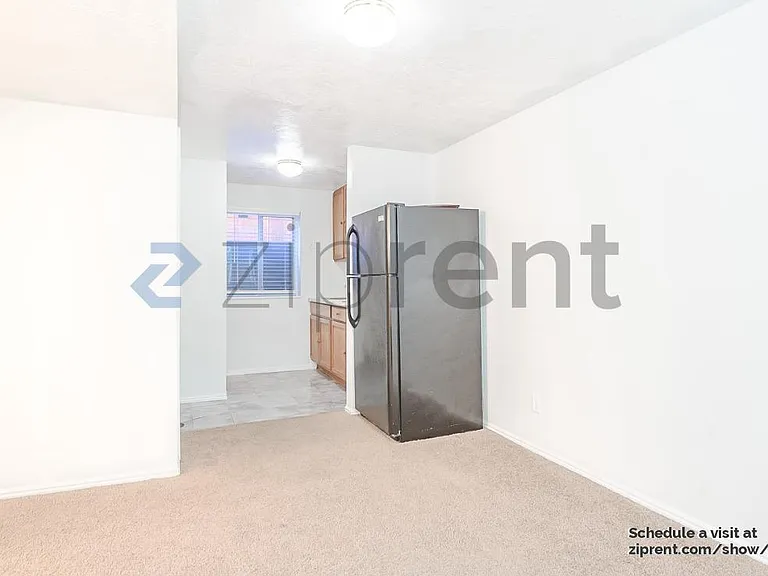 Downstairs living room and kitchen