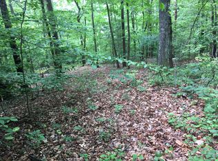 0 Byrds Chapel Rd, Rising Fawn, GA 30738